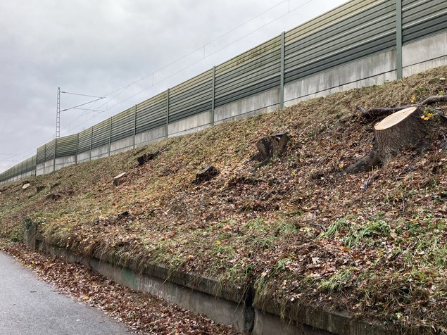 Foto von einem Bahndamm mit abgeholzten Bäumen und Sträuchern.